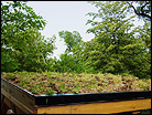 Dillon Nature Center Green Roof